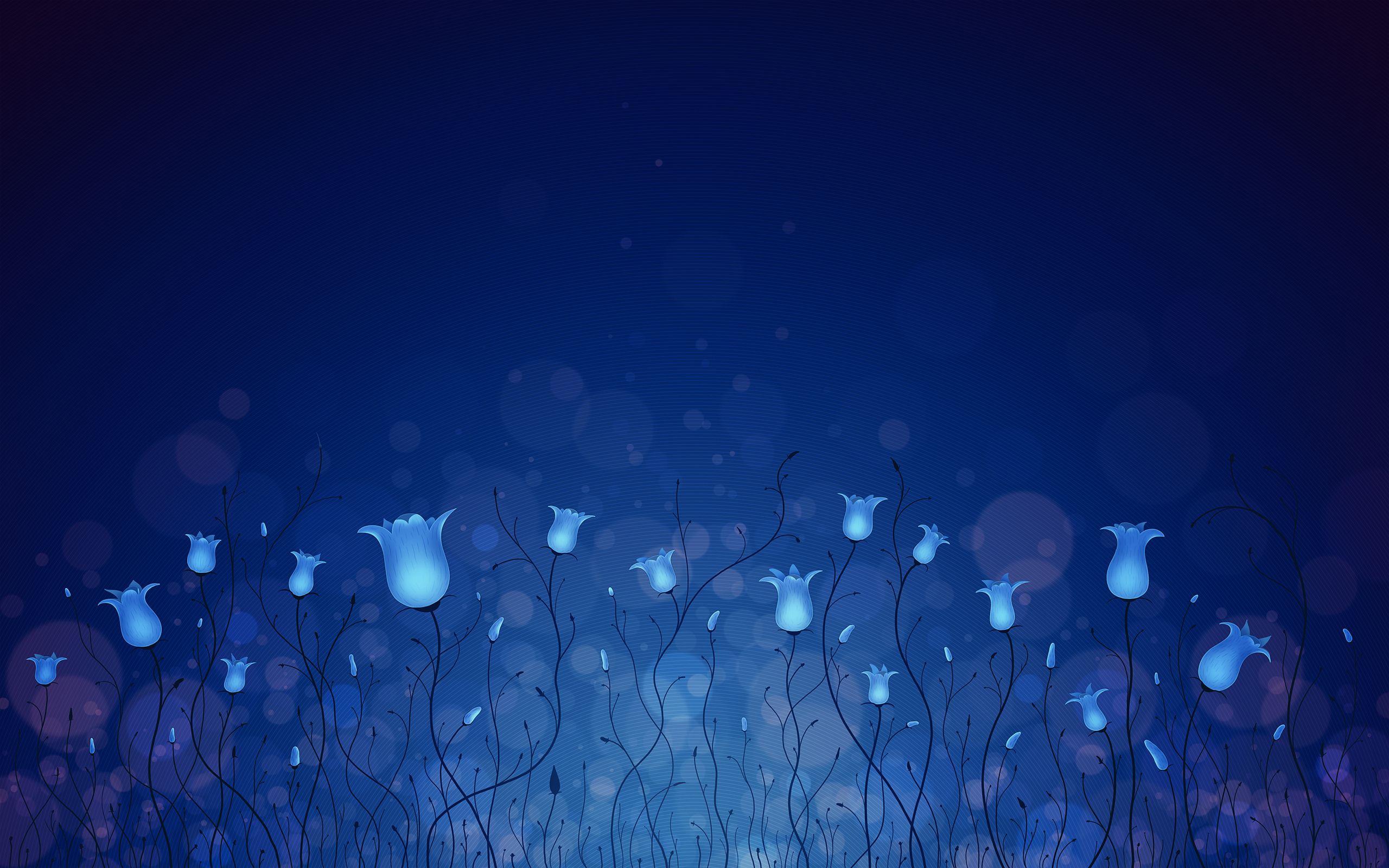 Flowers_Blue_2560x1600.jpg